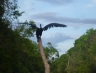 sabah11sept62.jpg