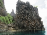 raja13nature37.jpg