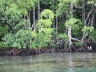 raja13nature43.jpg