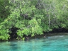 raja13nature45.jpg