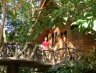 suratthani08.jpg