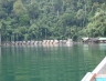 suratthani20.jpg