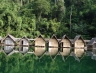 suratthani21.jpg