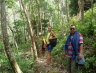 suratthani33.jpg