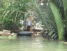 suratthani36.jpg