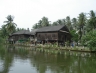 suratthani37.jpg