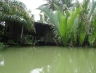 suratthani38.jpg