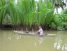 suratthani44.jpg