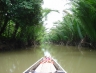 suratthani45.jpg