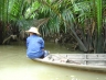 suratthani47.jpg