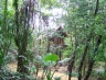 suratthani49.jpg
