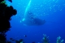 rajaampat13march16.jpg