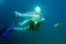 rajaampat13march23.jpg