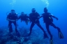 rajaampat13march25.jpg