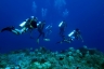 rajaampat13march31.jpg