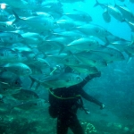 2011 Sipadan Malaysia