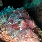 lab05phiphi13.jpg