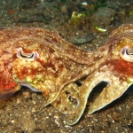 lab05phiphi79.jpg