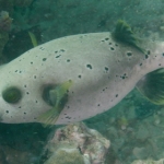lab05phiphi16.jpg