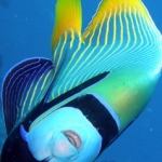 lab05phiphi36.jpg