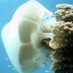 lab05phiphi37.jpg