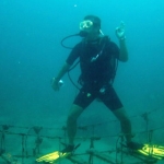 sipadan11sept007.jpg