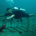 sipadan11sept010.jpg