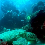 sipadan11sept029.jpg