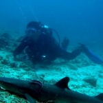 sipadan11sept059.jpg