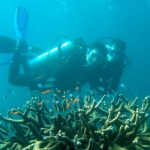 sipadan11sept084.jpg