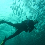 sipadan11sept093.jpg