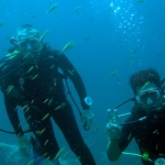 similans11feb16.jpg