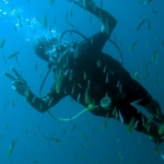 similans11feb17.jpg