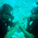 similans11feb19.jpg