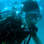 similans11feb42.jpg