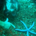 similans11feb43.jpg