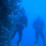 lab06phiphi07.jpg
