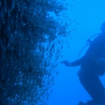 lab06phiphi08.jpg