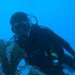 lab06phiphi27.jpg