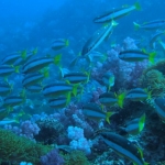 lab06phiphi28.jpg