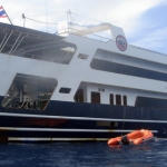 losin11oct02.jpg