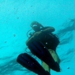 losin11oct28.jpg