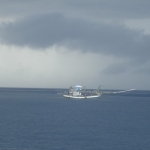 losin11oct24.jpg
