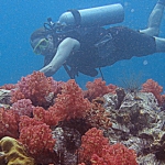 lab06tarutao19.jpg