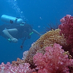 lab06tarutao18.jpg