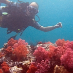 lab06tarutao24.jpg