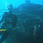 lab06tarutao34.jpg