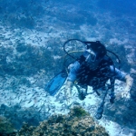 similan06trip41.jpg