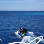 komodo10sept31.jpg