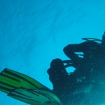 komodo10sept41.jpg